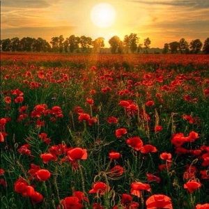 Meet your Posher, Theresa